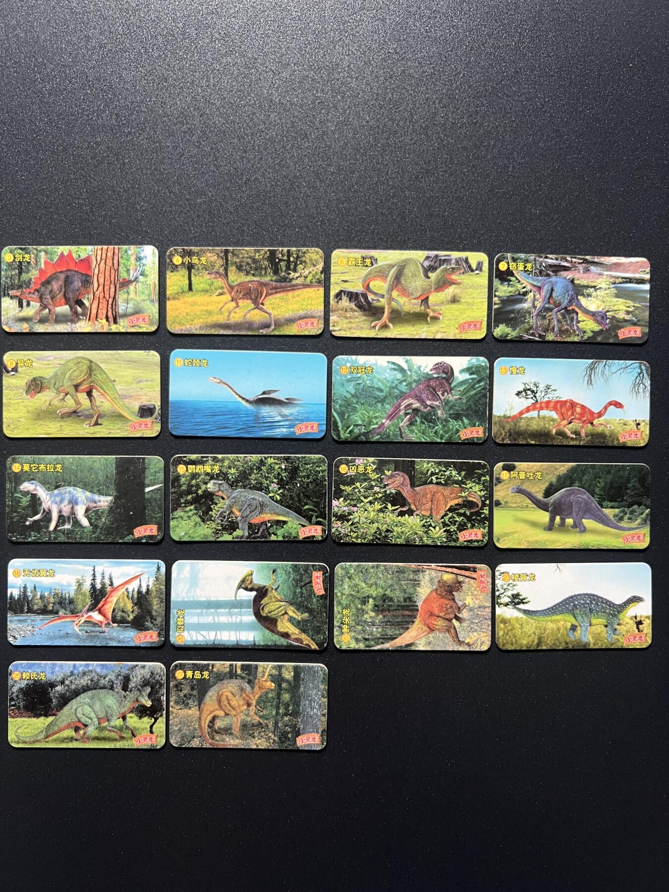 小灵龙拼插恐龙卡收集卡