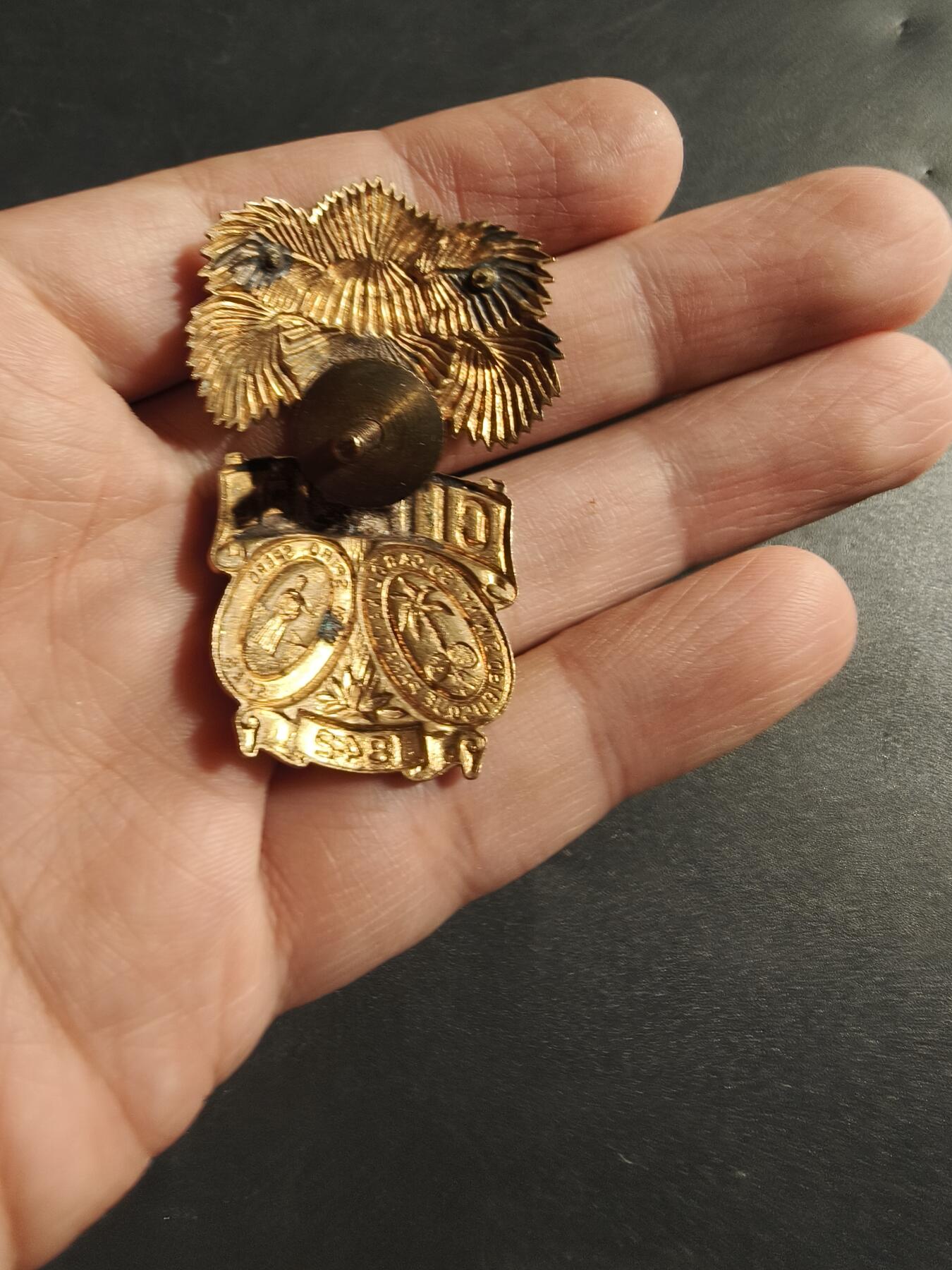 老王徽章第173期 美国南卡罗来纳州军事学校大檐帽帽徽