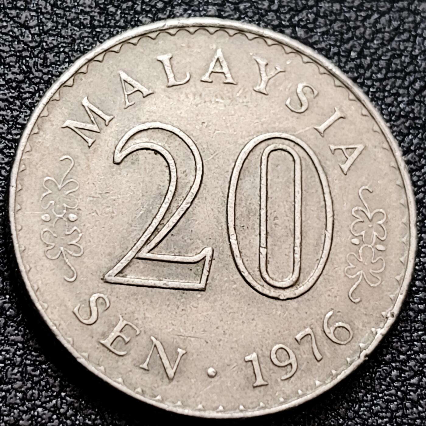 泉币菌-第158场-元旦欢乐场，开年第一场，新年快乐！（特修改截拍时间为23:30分） 。