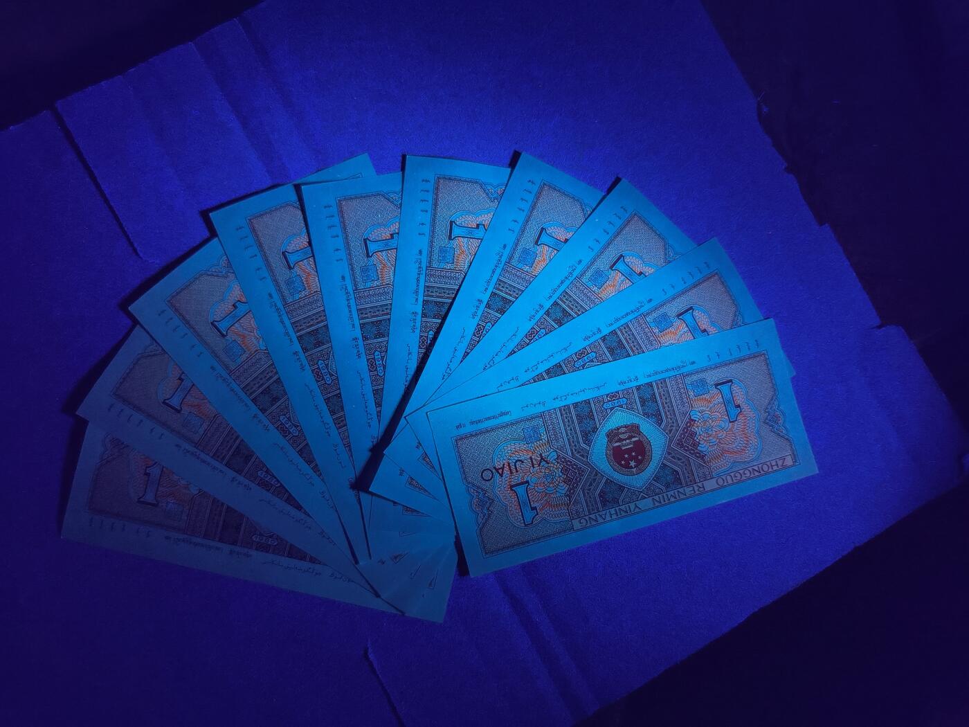 BT稀冠，正红背红，红牡丹，标十