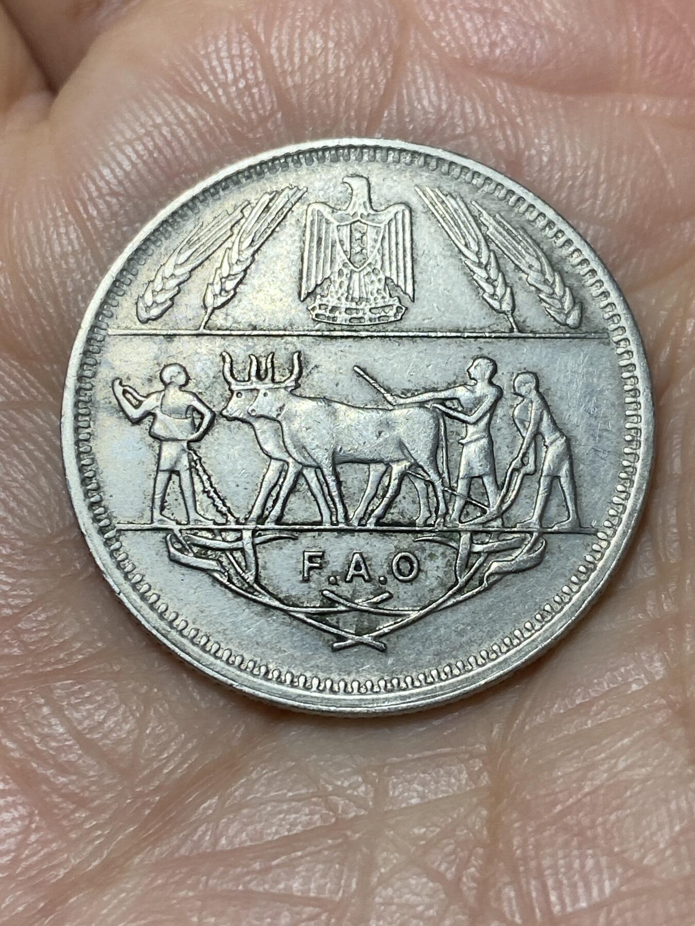 2026年第二场(总第一百七十一场）外国好品散币场(免佣金) 埃及🇪🇬1970年10皮阿斯特(FAO纪念币)