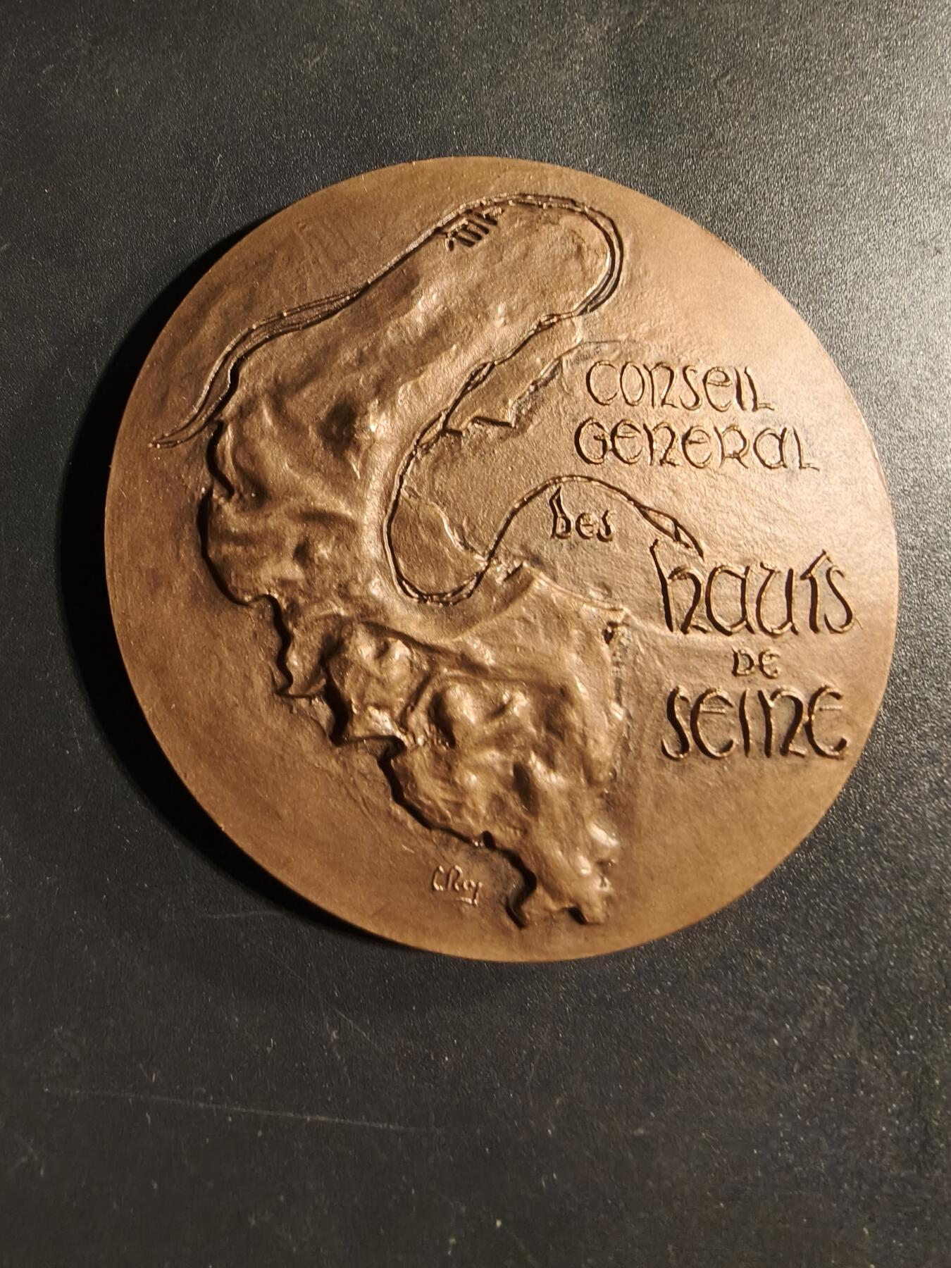 老王徽章第173期 法国上塞纳省议会大铜章     直径59mm     重量106g