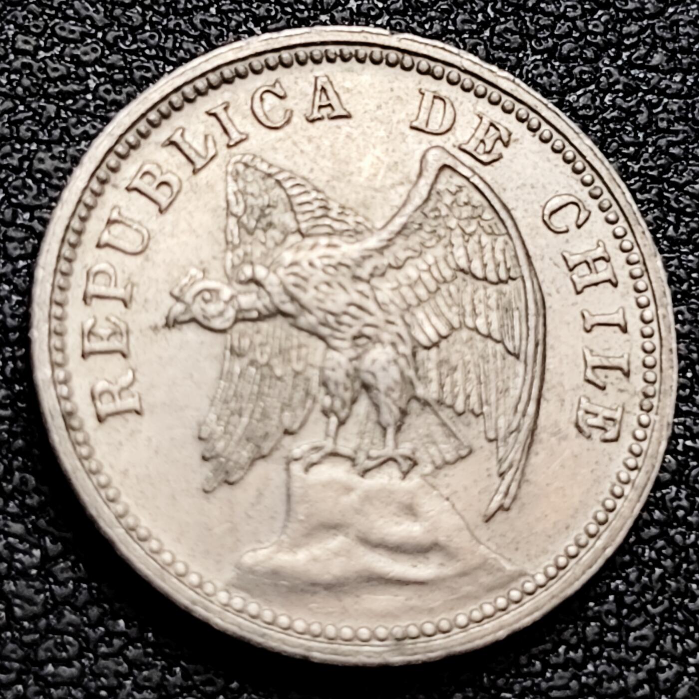 泉币菌-第158场-元旦欢乐场，开年第一场，新年快乐！（特修改截拍时间为23:30分） 。