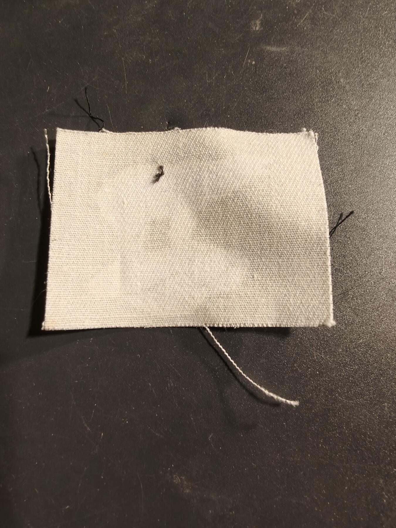 老王徽章第173期 英国陆军第49（西区）步兵师的“北极熊”臂章