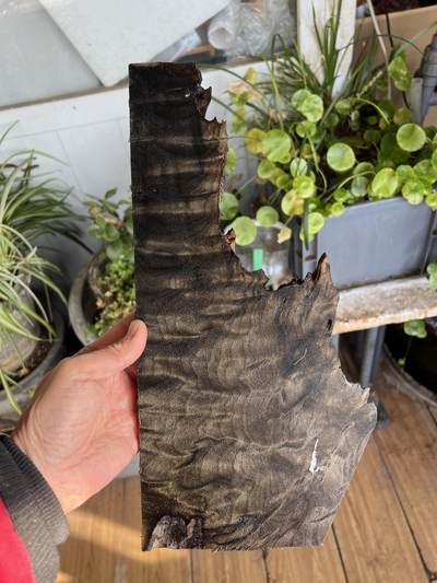 零元拍：1230-2金丝楠 牌子料   满金丝 果香满满 尺寸：33.5/17/5/1.4厚CM。 - 零元拍：1230-2金丝楠 牌子料   满金丝 果香满满 尺寸：33.5/17/5/1.4厚CM。