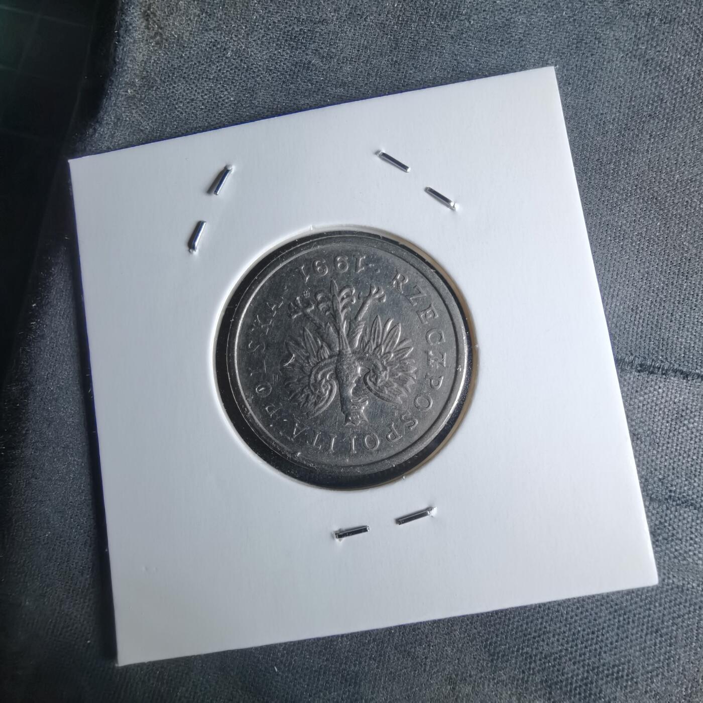 沼泽如烟--第951场