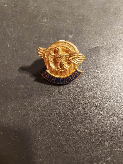 老王徽章第173期 - 美国二战陆军航空兵证章    铜质珐琅