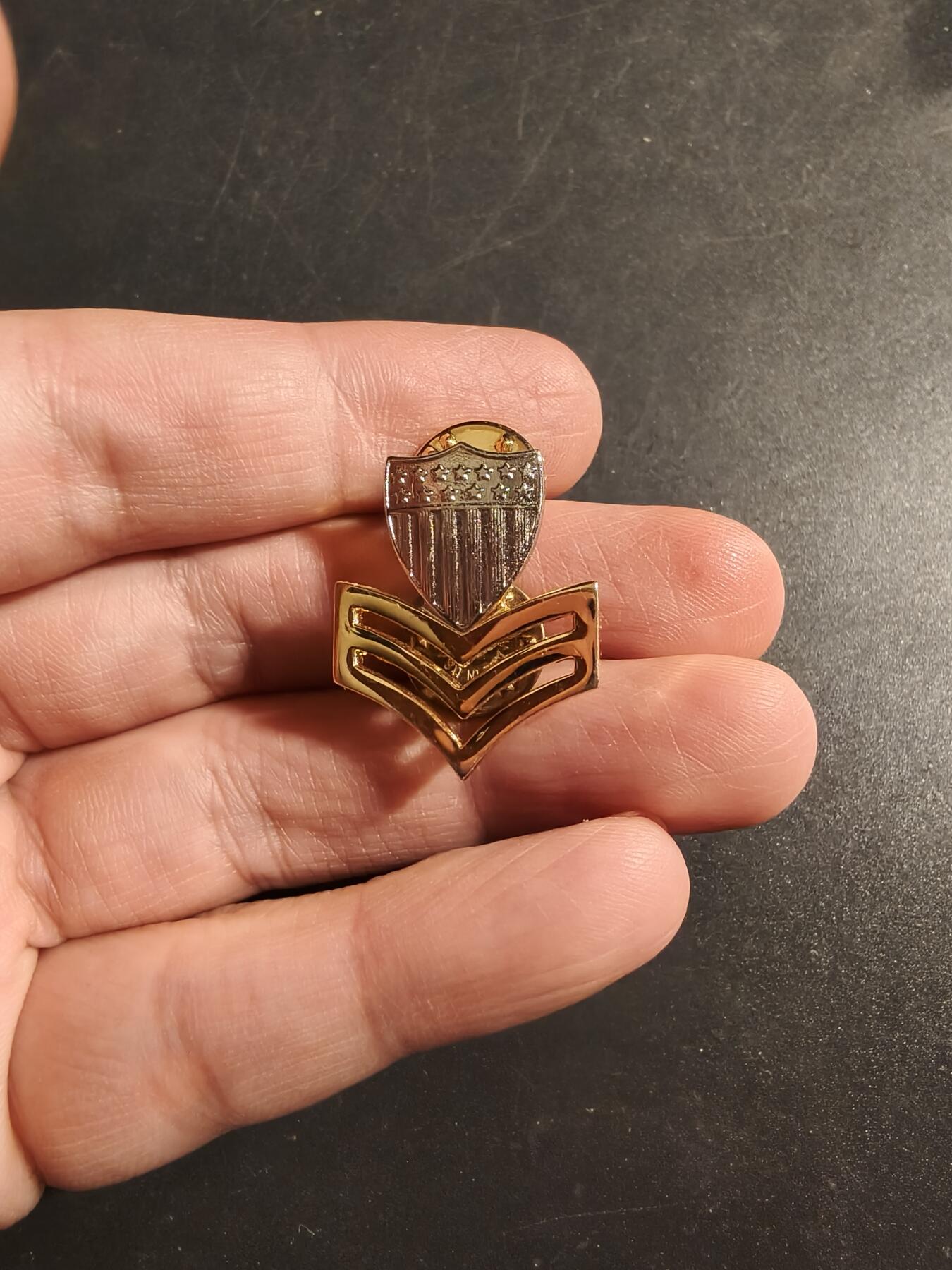 老王徽章第173期 美国海岸警备队一级军士领章