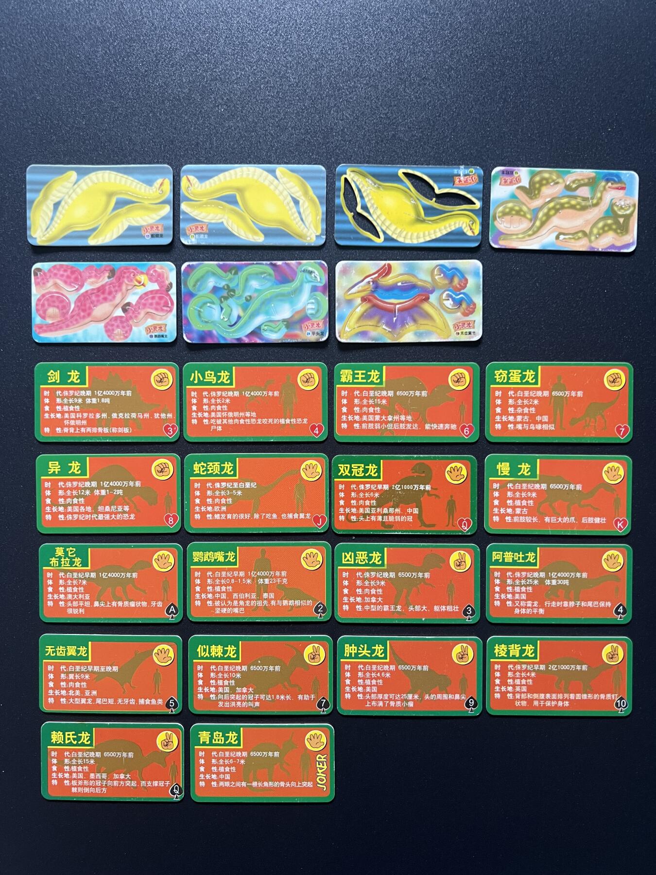 小灵龙拼插恐龙卡收集卡