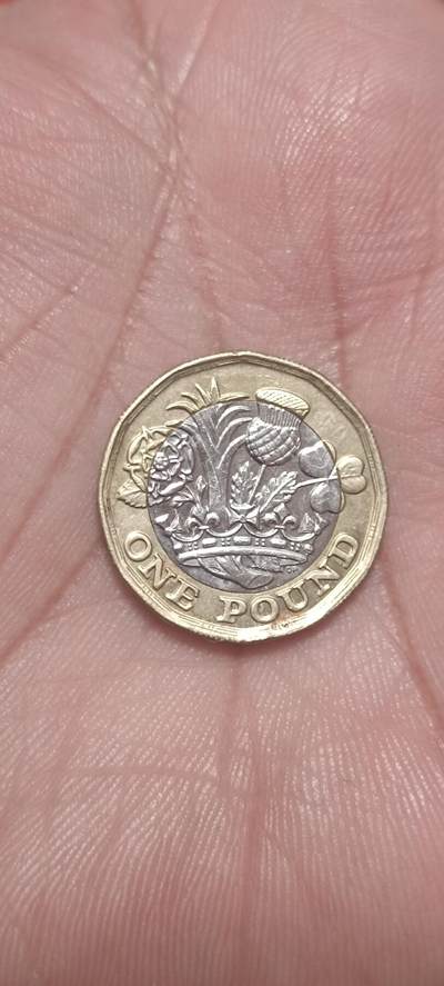 万国钱币阁第一场【元旦场】 - 英国双色晚年女王版1英镑