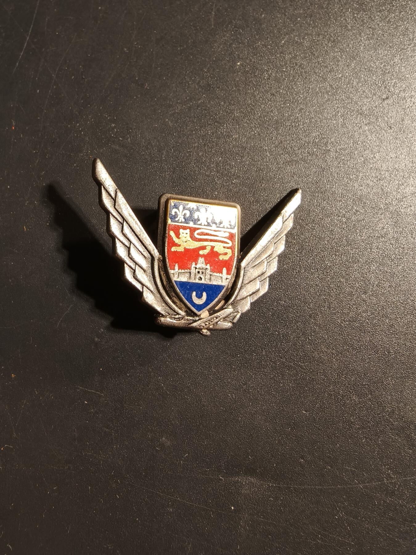 老王徽章第173期 法国波尔多-梅里尼亚克106空军基地证章