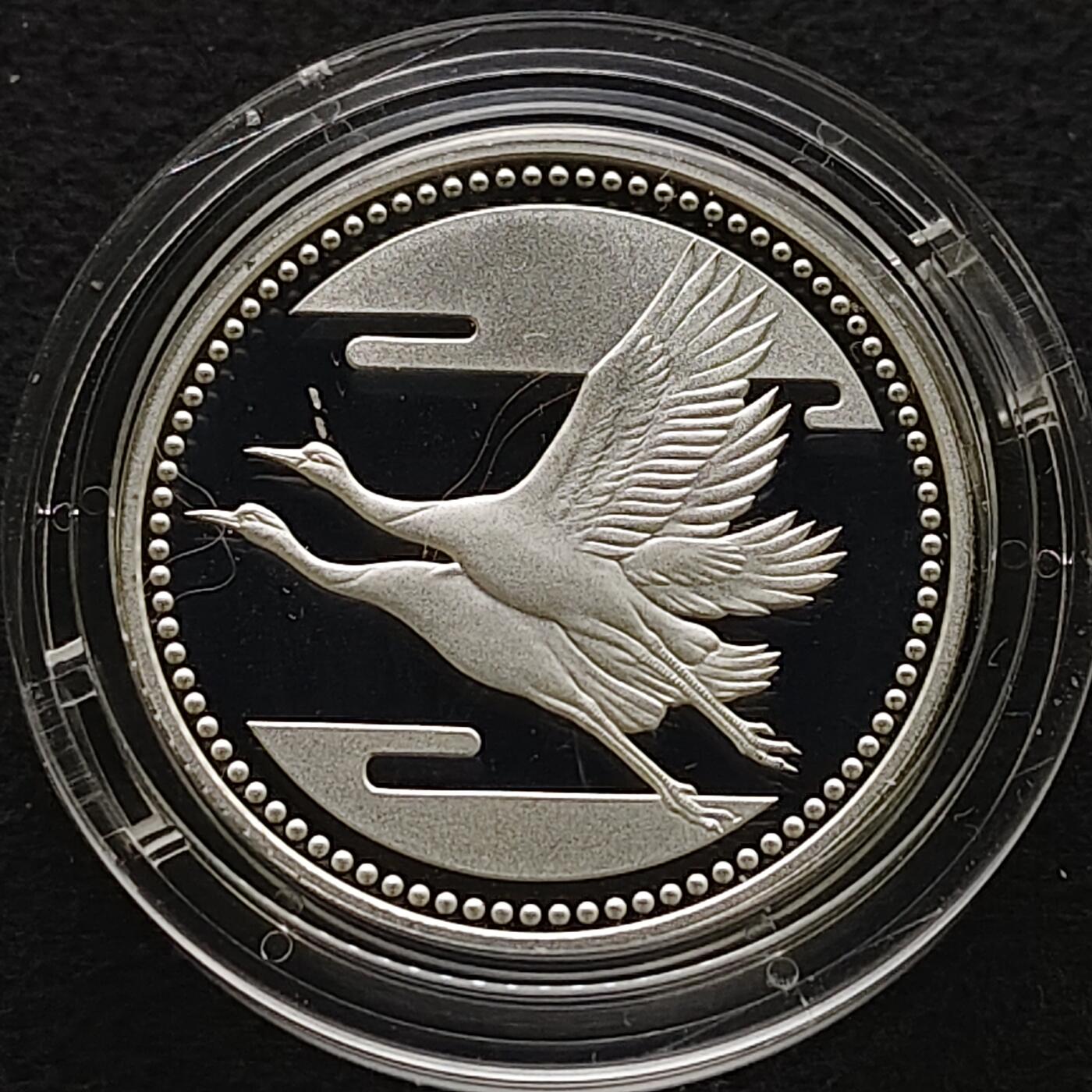 【全场包邮】纯粹捡漏拍491场（免费代拍第28场）