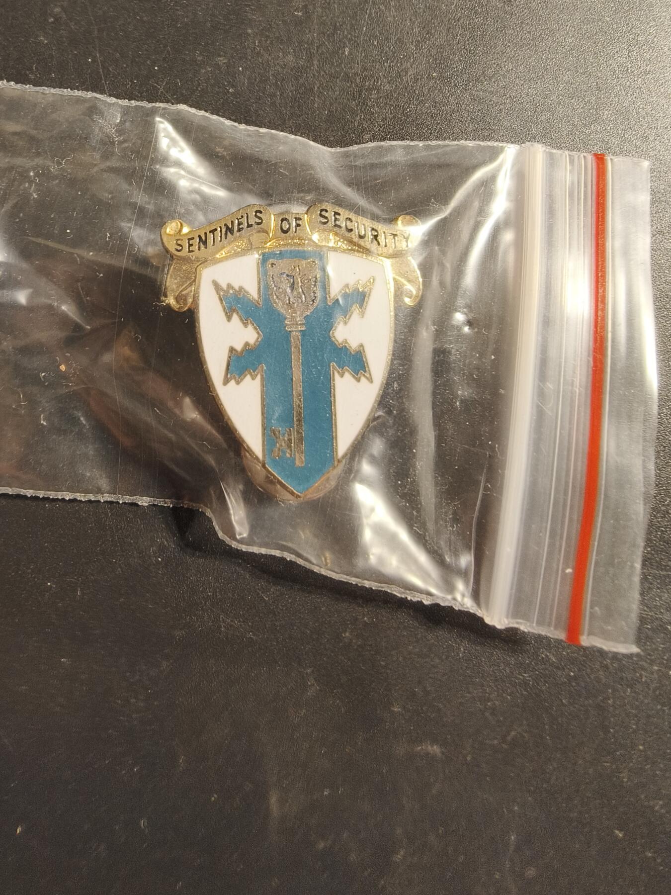 老王徽章第173期 美国陆军第309军事情报营证章