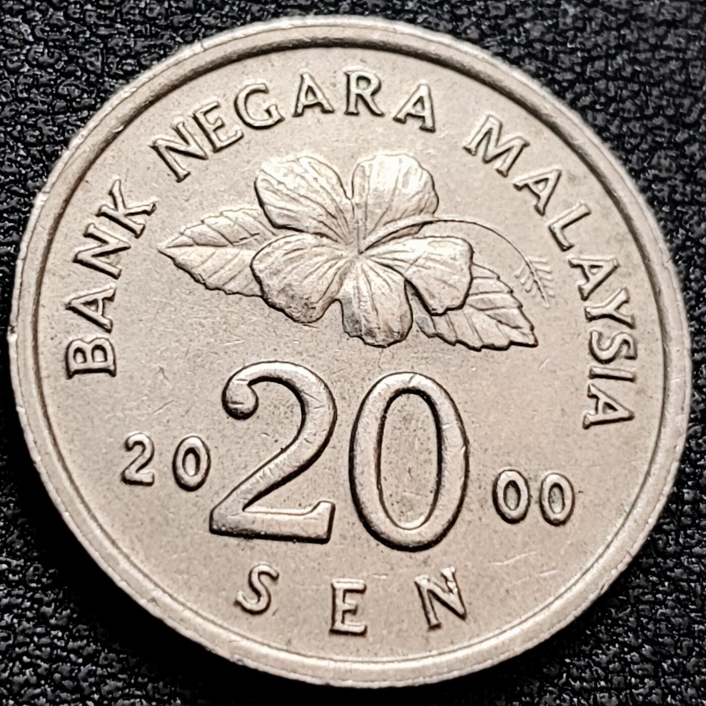 泉币菌-第158场-元旦欢乐场，开年第一场，新年快乐！（特修改截拍时间为23:30分） 。