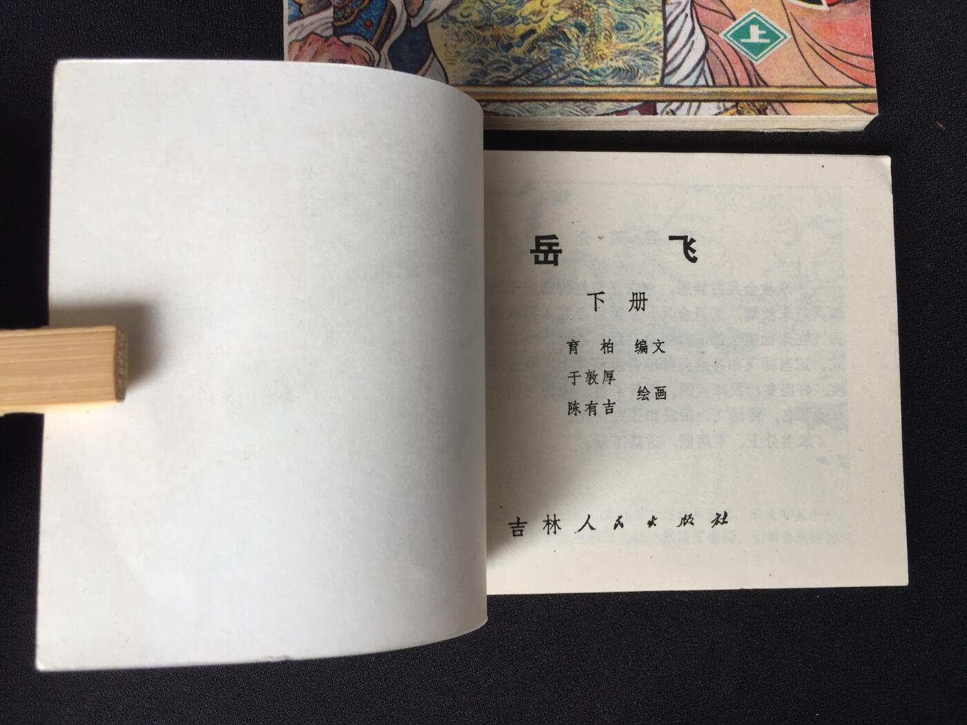 	 岳飞（上下）WDL003▇【封底浅灰色圆点是相机镜头导致】清书！不计成本！给钱就卖！