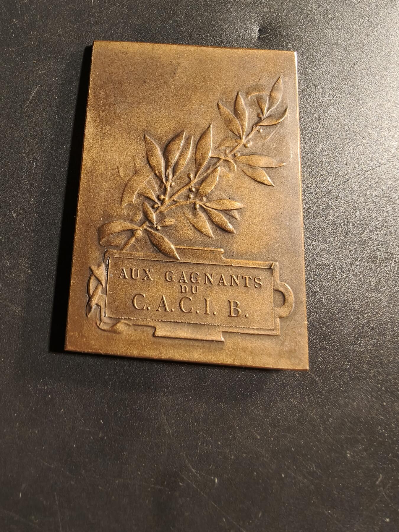 老王徽章第173期 法国宠物犬爱好者协会方形大铜章     原盒      正面为高卢人形象，大师Dropsy作品      尺寸38×56mm     重量49.3g