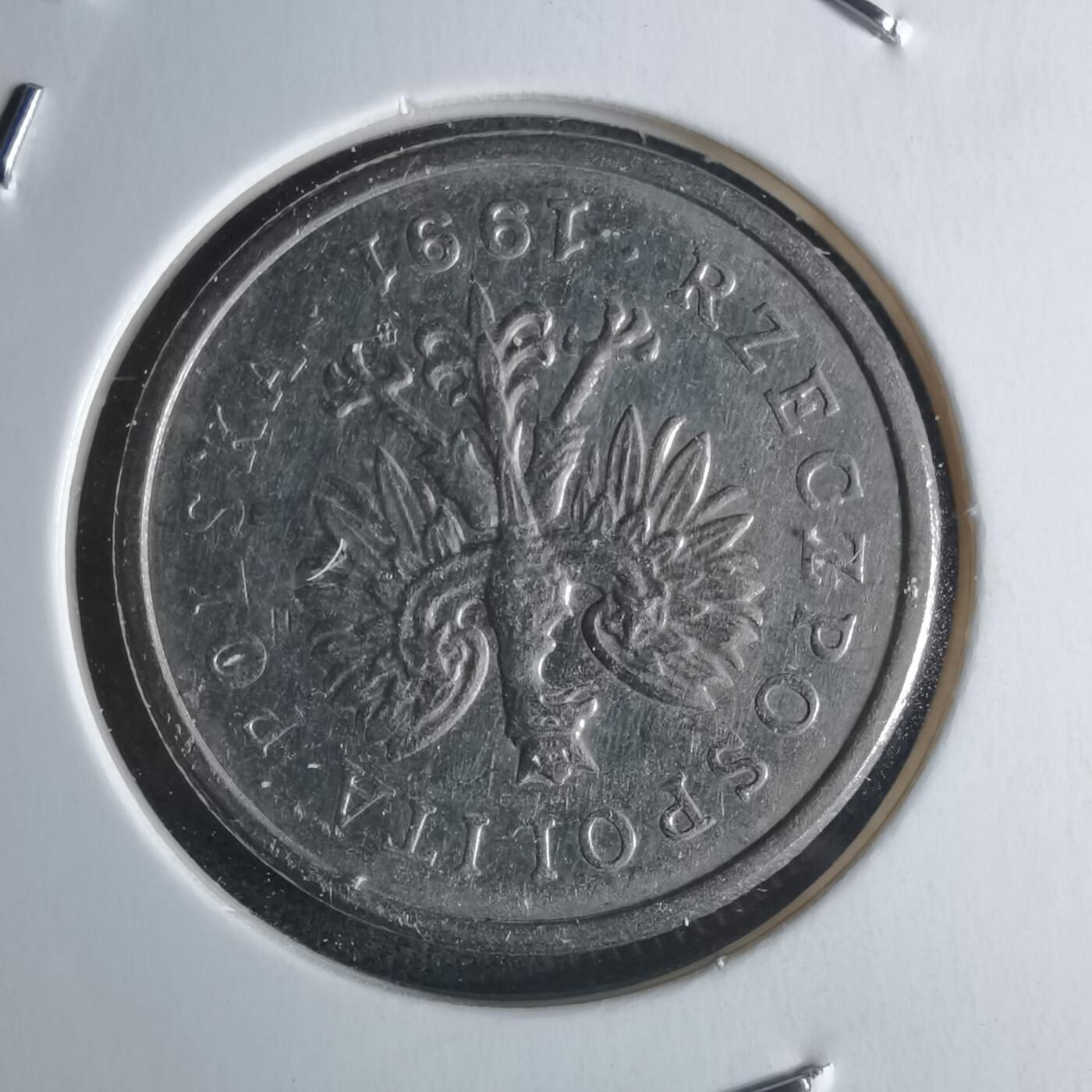 沼泽如烟--第951场