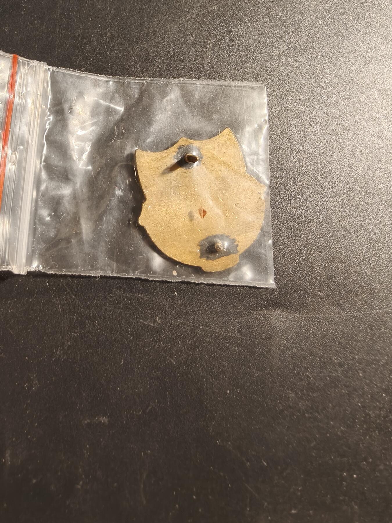 老王徽章第173期 美国陆军预备军官团证章