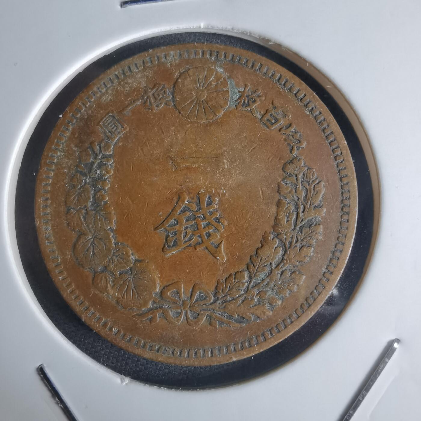 沼泽如烟--第951场