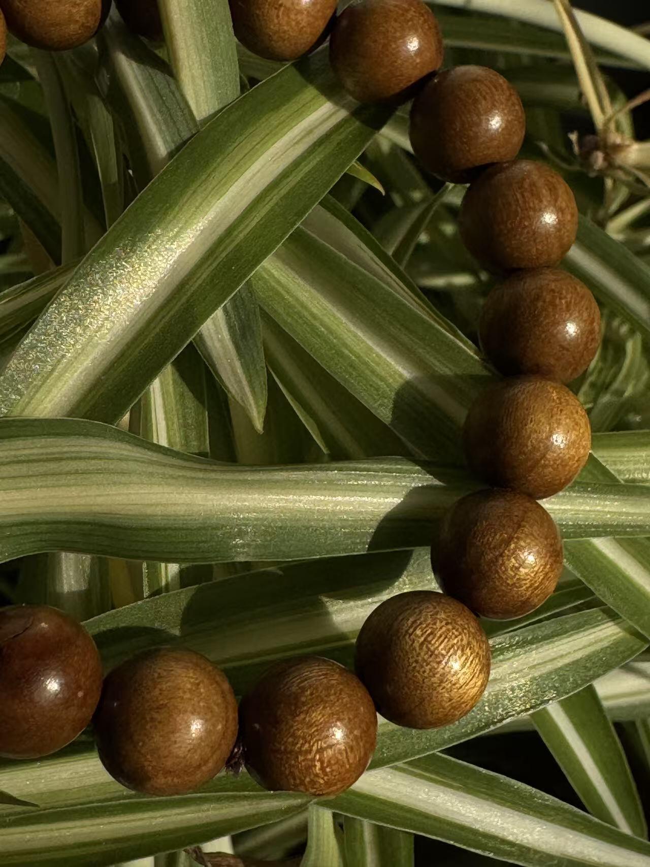 零元拍：金丝楠圆珠珠手串，10.5MM 金丝满满，满荧光，满手留香