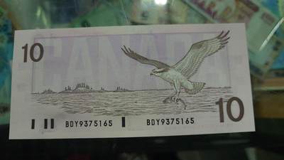 【新年二拍】世界钱币～微拍第223期暨2025年第63期  裸钞专场超低起拍 欢迎参与 - 1989年加拿大10元 鸟版全新绝品无4尾号165