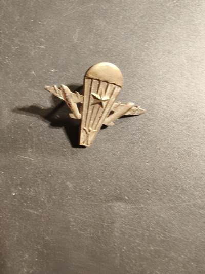 老王徽章第173期 - 以色列空降兵证章