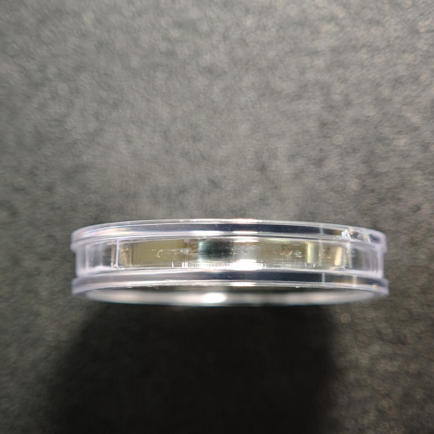 【德藏】世界币章拍卖第160期 发行量极少 2019年 德国地球气候带-温带聚合环5欧元精制镍币 原盒 直径约：27.25mm；重约：9g