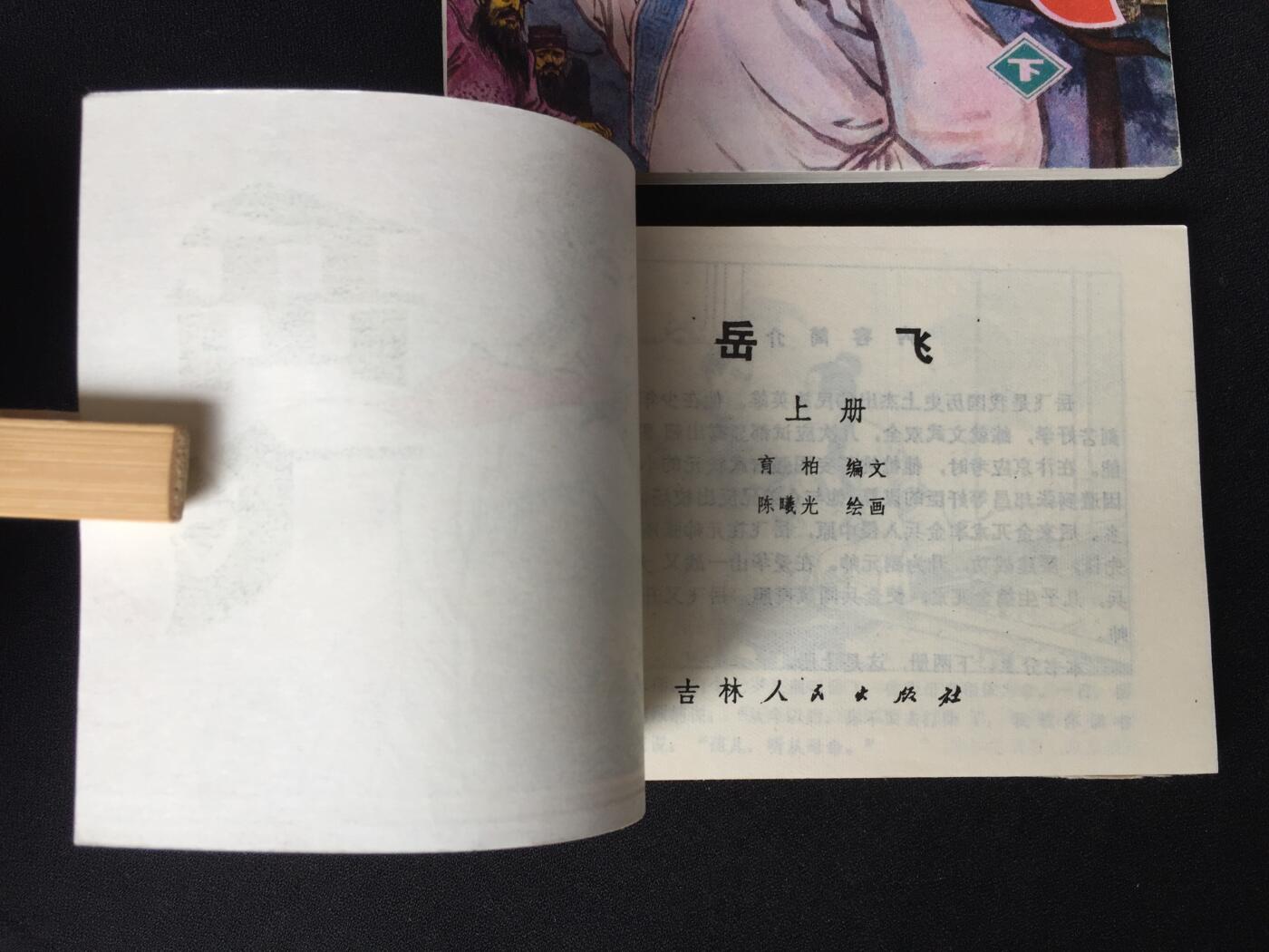 	 岳飞（上下）WDL003▇【封底浅灰色圆点是相机镜头导致】清书！不计成本！给钱就卖！