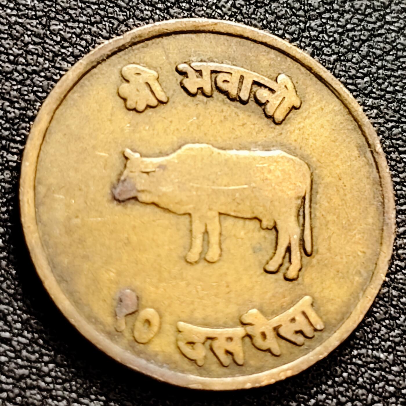 泉币菌-第158场-元旦欢乐场，开年第一场，新年快乐！（特修改截拍时间为23:30分） 。