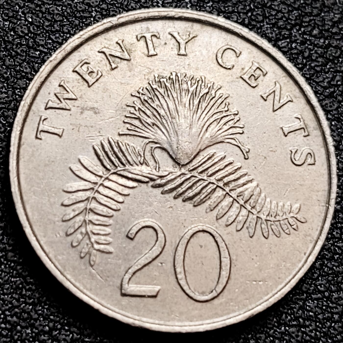 泉币菌-第158场-元旦欢乐场，开年第一场，新年快乐！（特修改截拍时间为23:30分） 。