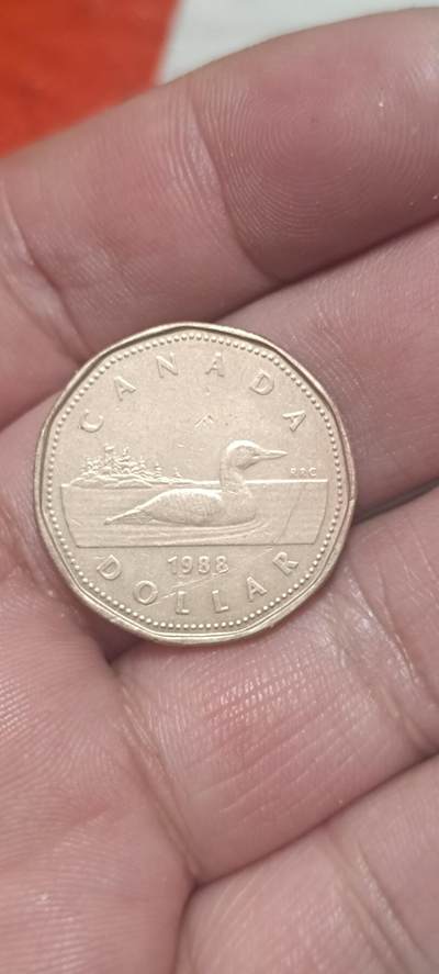 万国钱币阁第一场【元旦场】 - 加拿大1988年2元铜币