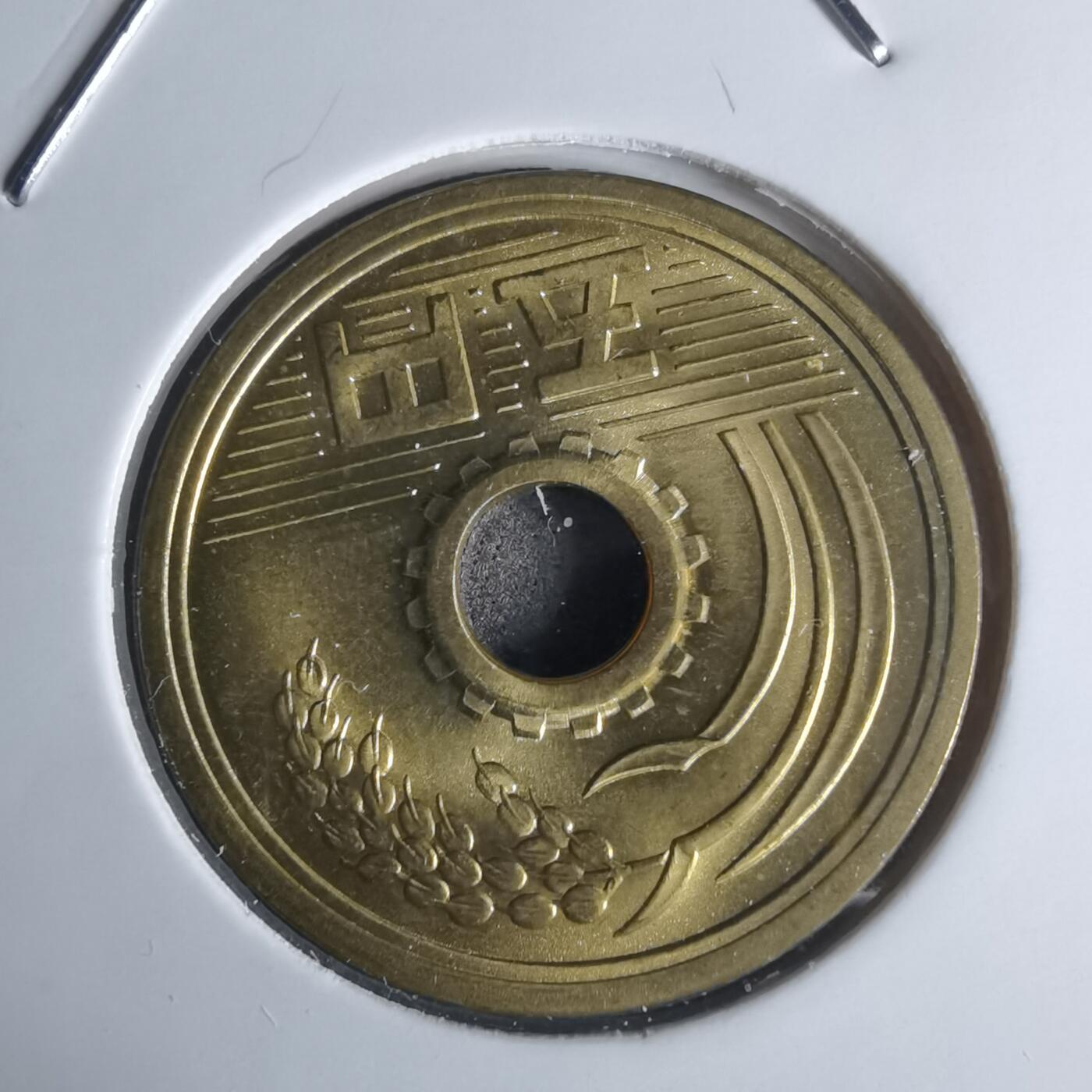 沼泽如烟--第951场 民国三十九年五元