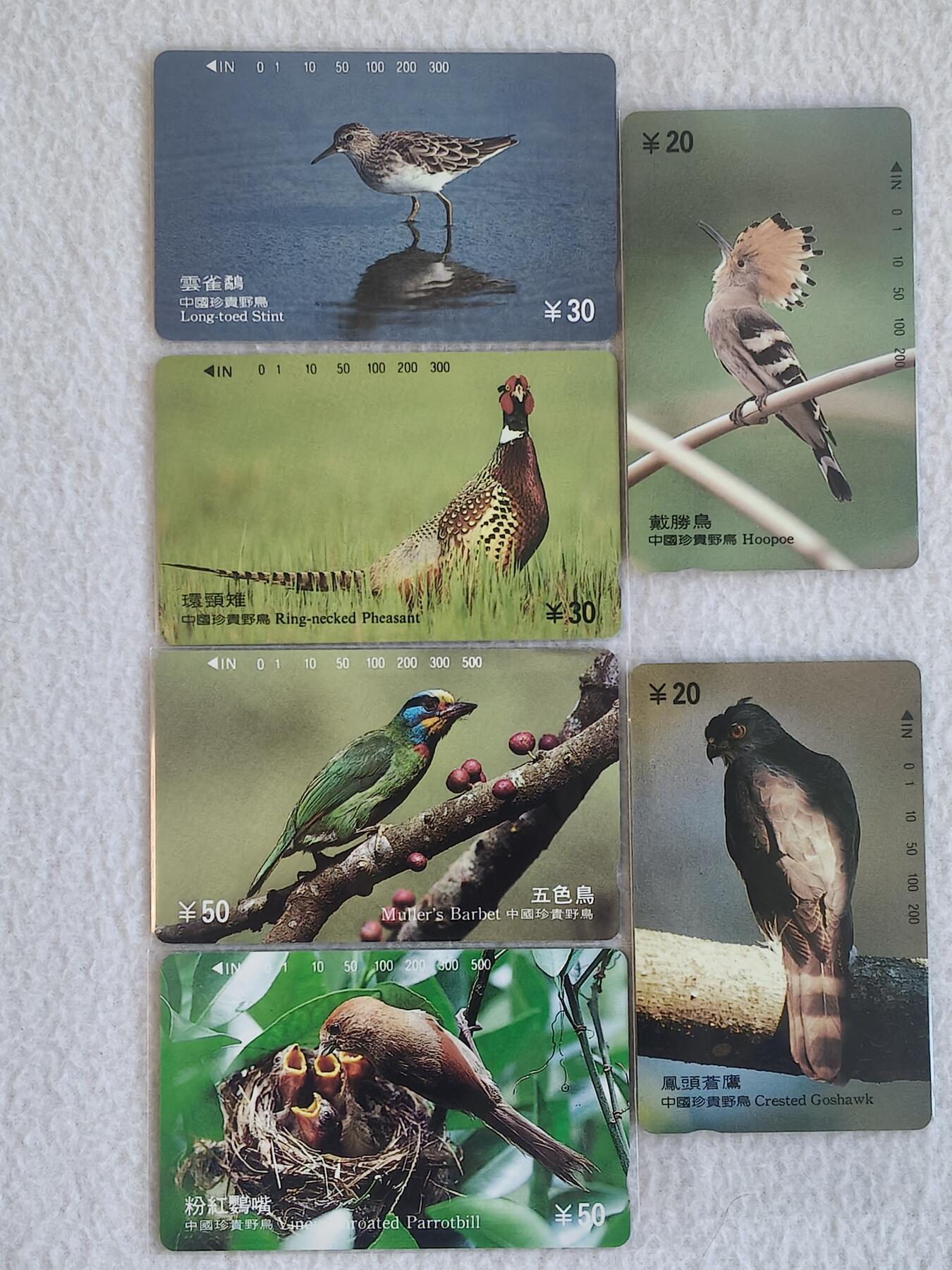 易卡拍卖第66期 珍贵野鸟（一）（精品地方卡）。易卡五星⭐️标。如图所示！