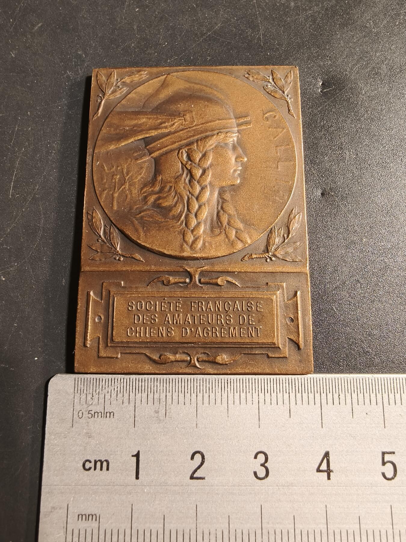 老王徽章第173期 法国宠物犬爱好者协会方形大铜章     原盒      正面为高卢人形象，大师Dropsy作品      尺寸38×56mm     重量49.3g