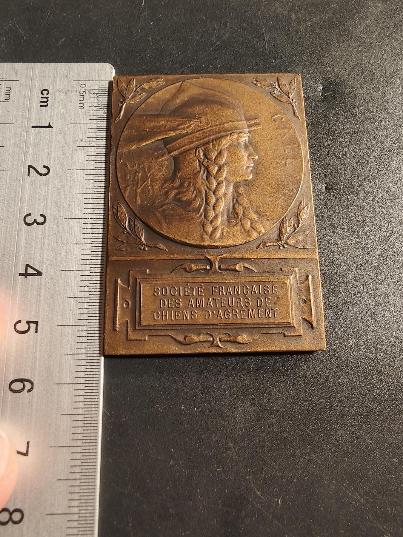 老王徽章第173期 法国宠物犬爱好者协会方形大铜章     原盒      正面为高卢人形象，大师Dropsy作品      尺寸38×56mm     重量49.3g