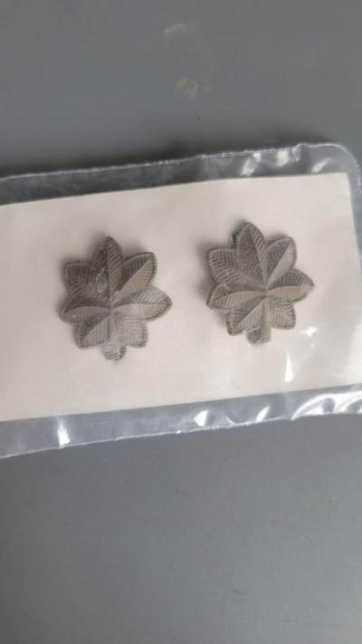 嘉宝良覃世界勋赏第21期拍卖 - 美国中校领花一组