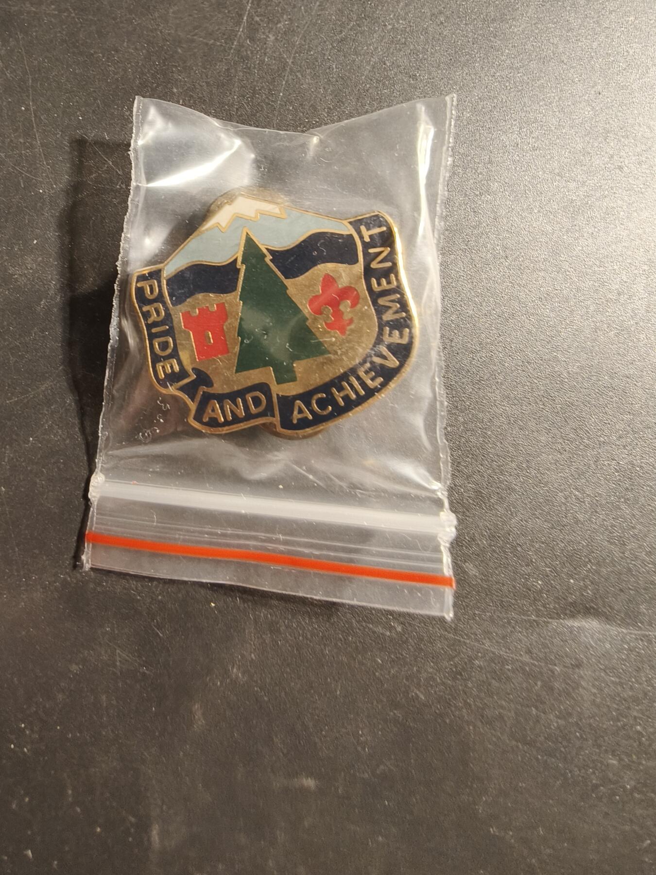 老王徽章第173期 美国陆军第380补充营证章