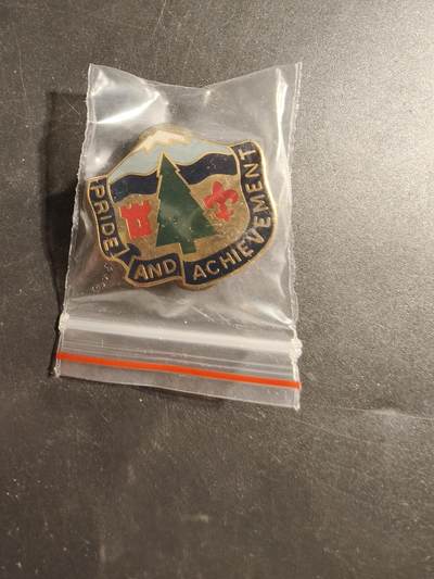 老王徽章第173期 - 美国陆军第380补充营证章