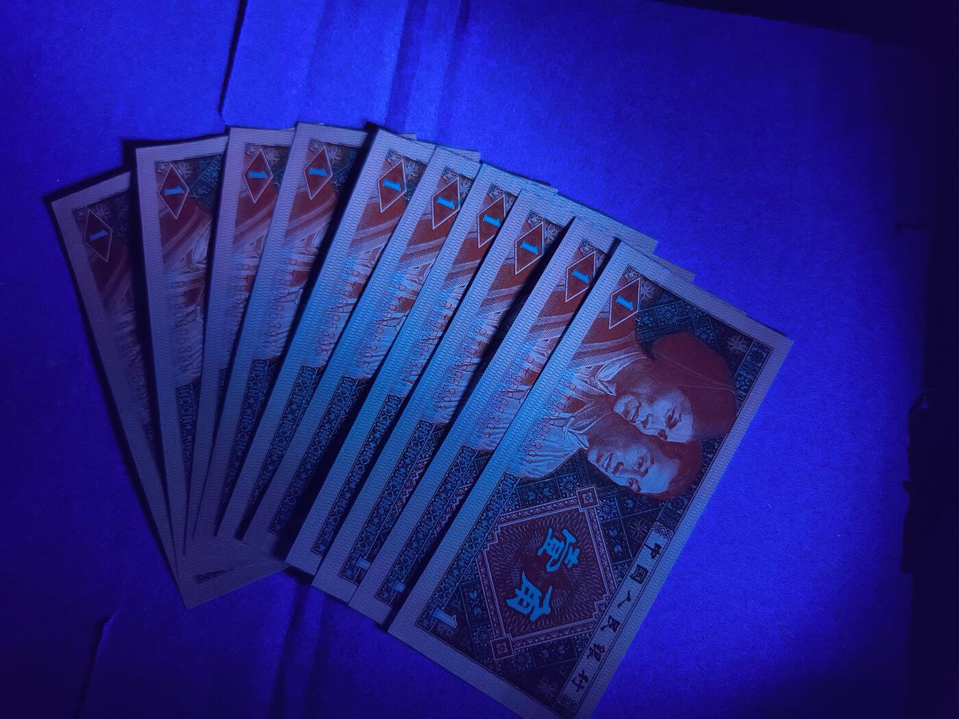 BT稀冠，正红背红，红牡丹，标十