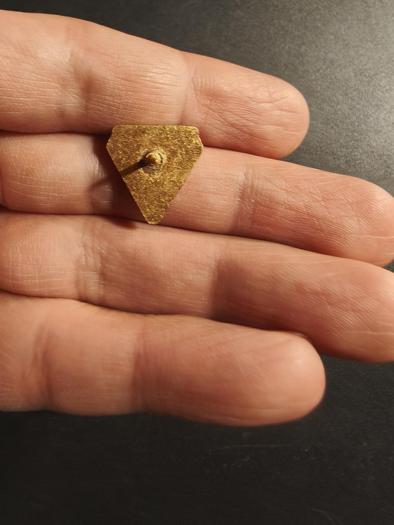 老王徽章第173期 美国后备舰队协会证章