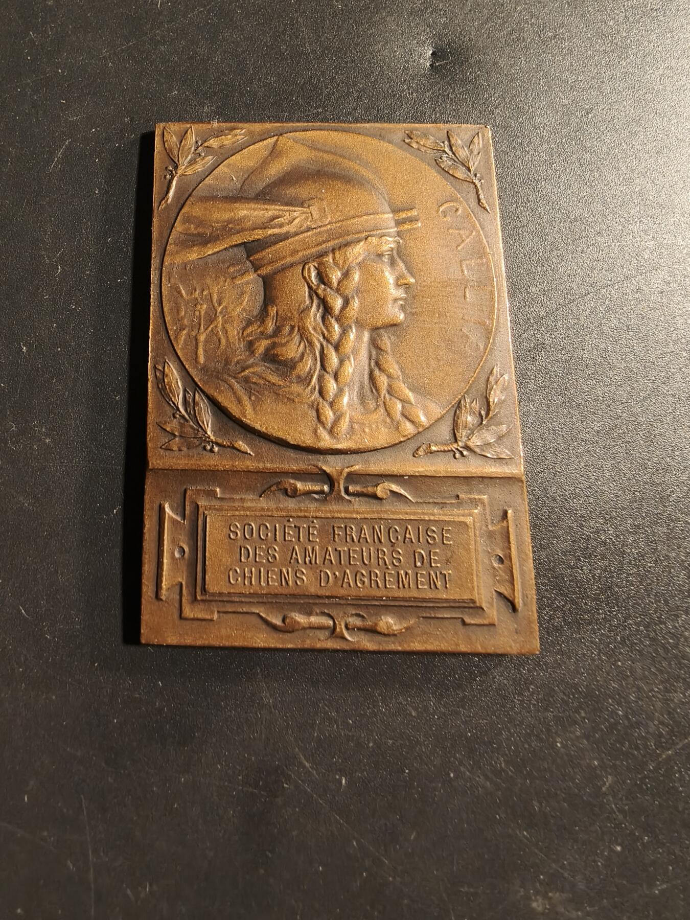 老王徽章第173期 法国宠物犬爱好者协会方形大铜章     原盒      正面为高卢人形象，大师Dropsy作品      尺寸38×56mm     重量49.3g