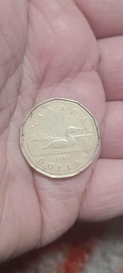 万国钱币阁第一场【元旦场】 - 加拿大2元铜币