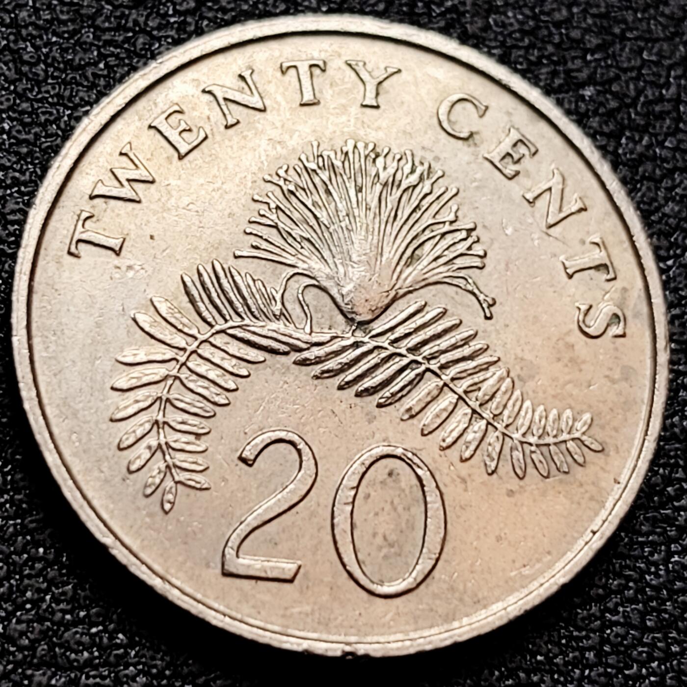 泉币菌-第158场-元旦欢乐场，开年第一场，新年快乐！（特修改截拍时间为23:30分） 。