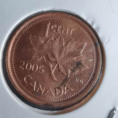 沼泽如烟--第951场 - 加拿大2005年一分