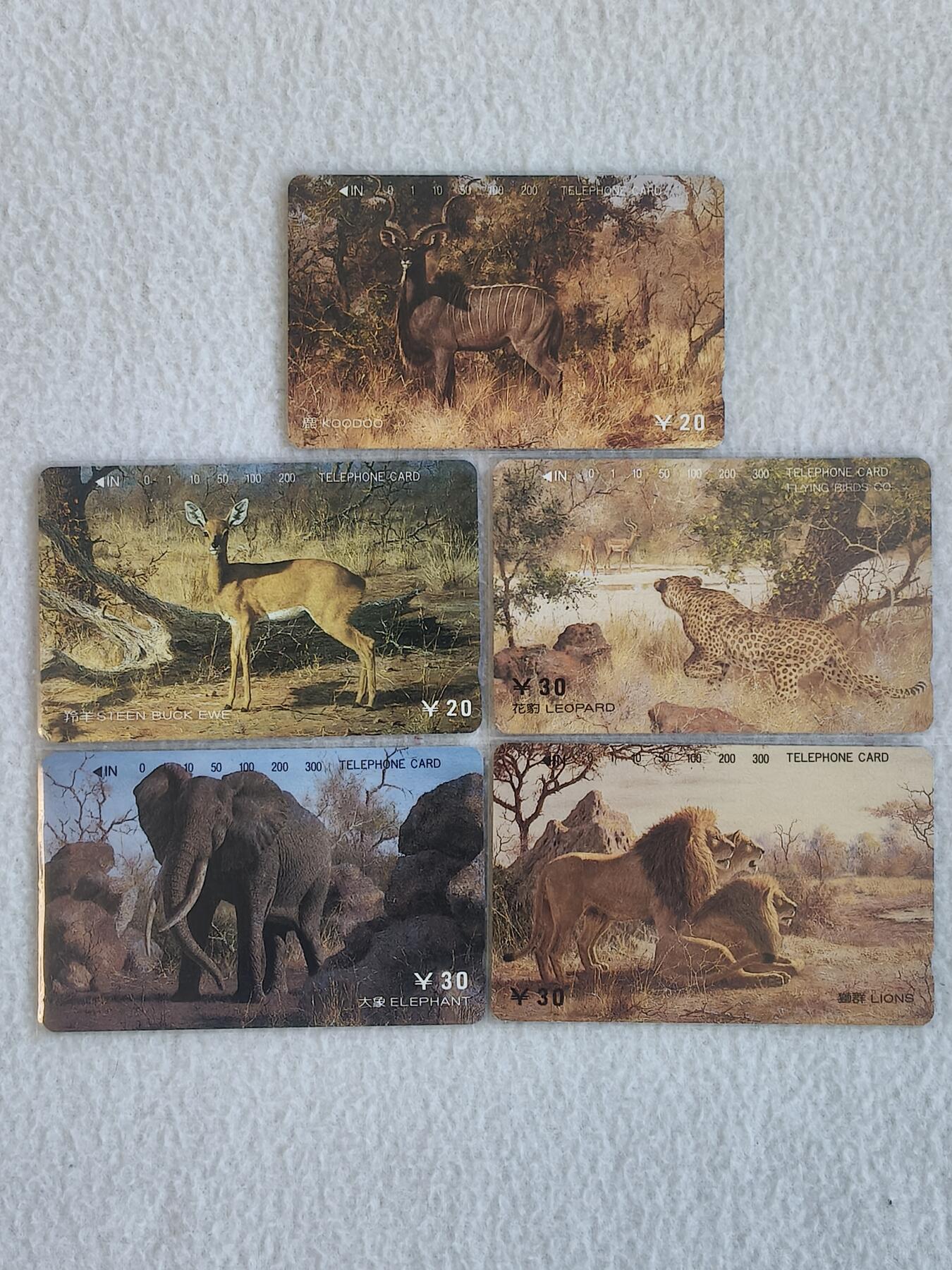 易卡拍卖第66期 珍稀动物（四）（精品地方卡）。易卡五星⭐️标。如图所示！