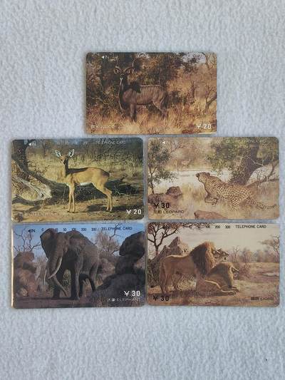 易卡拍卖第66期 - 珍稀动物（四）（精品地方卡）。易卡五星⭐️标。如图所示！