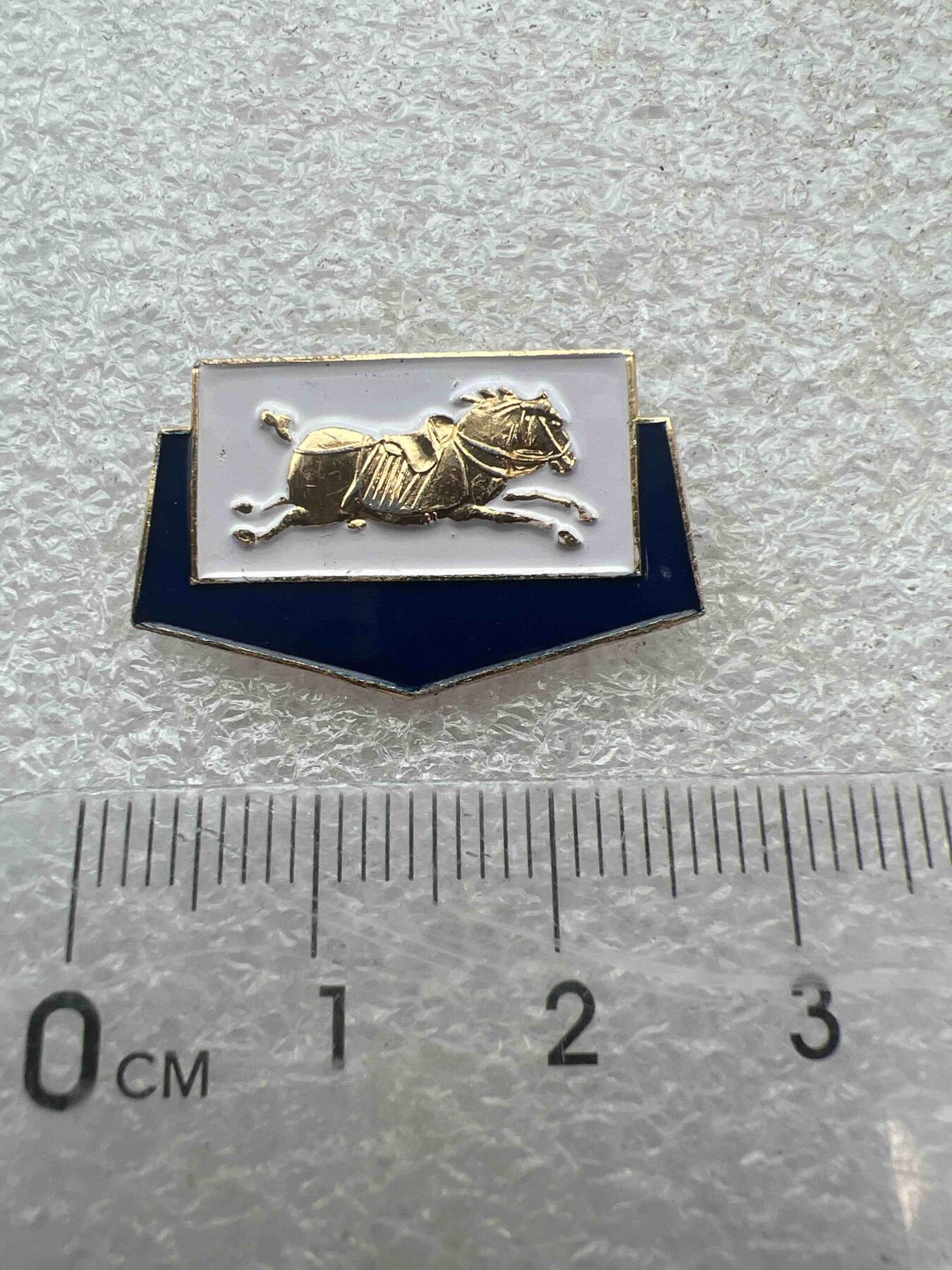 真品像章、纪念章