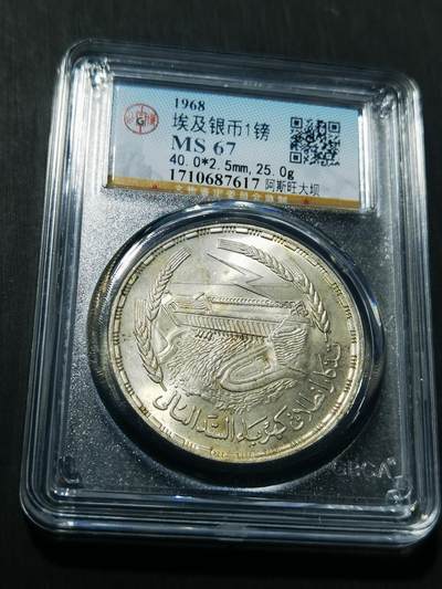 天下钱庄专场欢迎参拍 - 埃及1磅银币