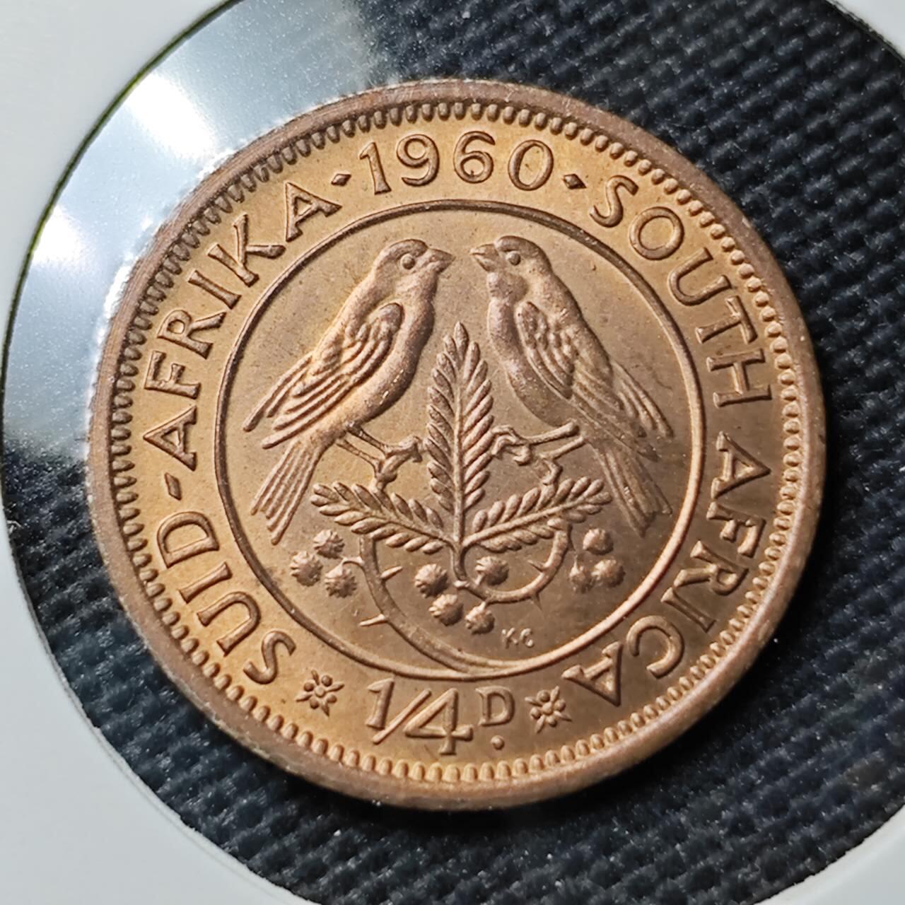 KK钱币收藏小铺 《套币 好品/批量散币专场》  2月预留时间 周末发货  1960英属南非1/4便士铜币 好品