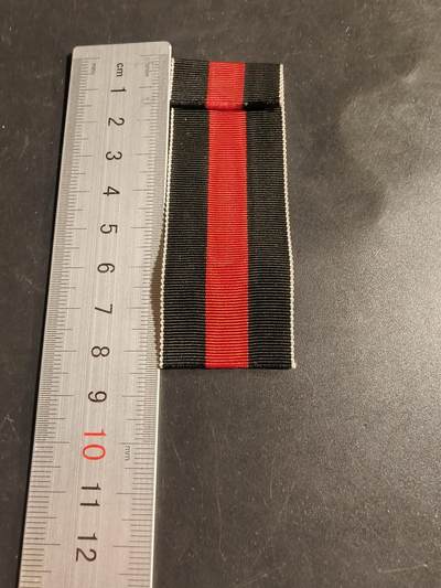 老王徽章第173期 - 德三合并苏台德绶带     9cm